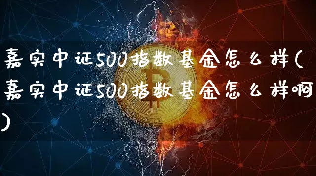 嘉实中证500指数基金怎么样(嘉实中证500指数基金怎么样啊)_https://www.qgjzrcxxzxpt.com_上期能源_第1张