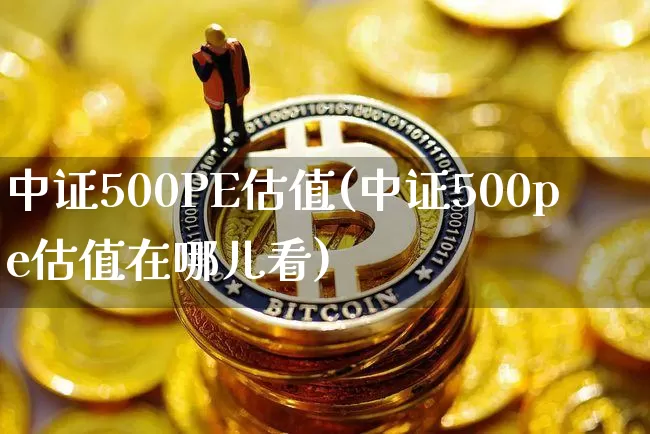 中证500PE估值(中证500pe估值在哪儿看)_https://www.qgjzrcxxzxpt.com_广期所_第1张