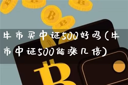 牛市买中证500好吗(牛市中证500能涨几倍)_https://www.qgjzrcxxzxpt.com_上期能源_第1张