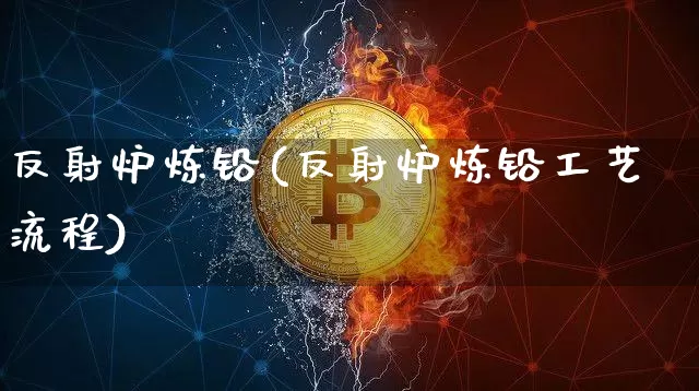 反射炉炼铅(反射炉炼铅工艺流程)_https://www.qgjzrcxxzxpt.com_中金所_第1张