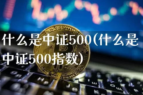 什么是中证500(什么是中证500指数)_https://www.qgjzrcxxzxpt.com_大商所_第1张