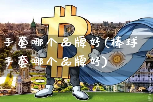 手套哪个品牌好(棒球手套哪个品牌好)_https://www.qgjzrcxxzxpt.com_广期所_第1张