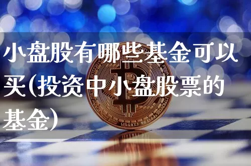 小盘股有哪些基金可以买(投资中小盘股票的基金)_https://www.qgjzrcxxzxpt.com_上期所_第1张
