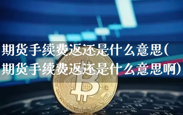 期货手续费返还是什么意思(期货手续费返还是什么意思啊)_https://www.qgjzrcxxzxpt.com_大商所_第1张