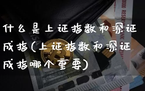 什么是上证指数和深证成指(上证指数和深证成指哪个重要)_https://www.qgjzrcxxzxpt.com_上期所_第1张