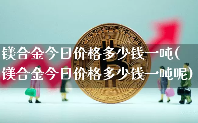 镁合金今日价格多少钱一吨(镁合金今日价格多少钱一吨呢)_https://www.qgjzrcxxzxpt.com_大商所_第1张