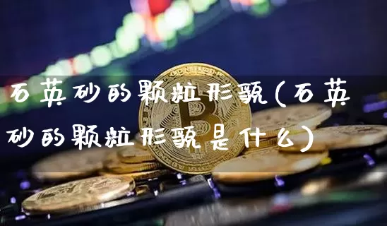 石英砂的颗粒形貌(石英砂的颗粒形貌是什么)_https://www.qgjzrcxxzxpt.com_上期能源_第1张