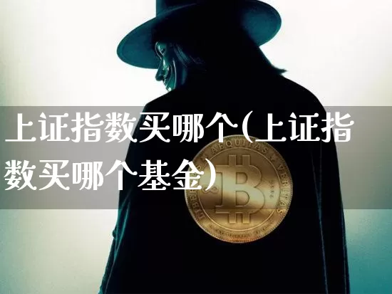 上证指数买哪个(上证指数买哪个基金)_https://www.qgjzrcxxzxpt.com_中金所_第1张