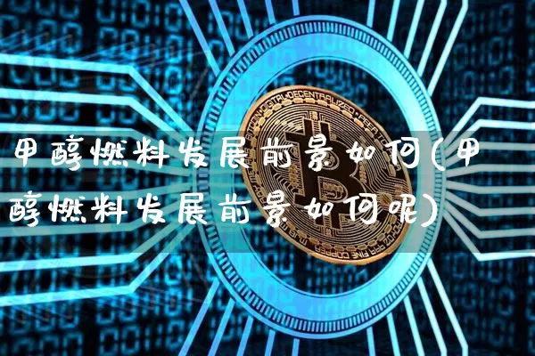 甲醇燃料发展前景如何(甲醇燃料发展前景如何呢)_https://www.qgjzrcxxzxpt.com_上期所_第1张