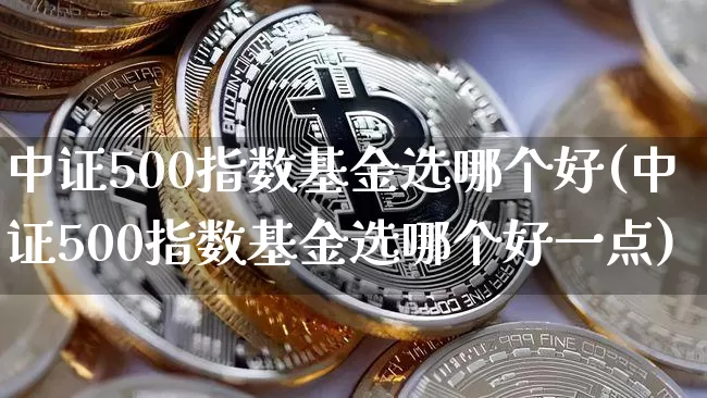 中证500指数基金选哪个好(中证500指数基金选哪个好一点)_https://www.qgjzrcxxzxpt.com_中金所_第1张